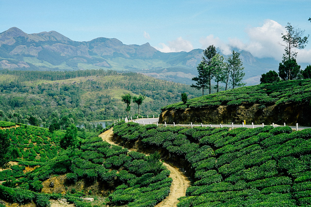 One of best places to visit in Munnar, India