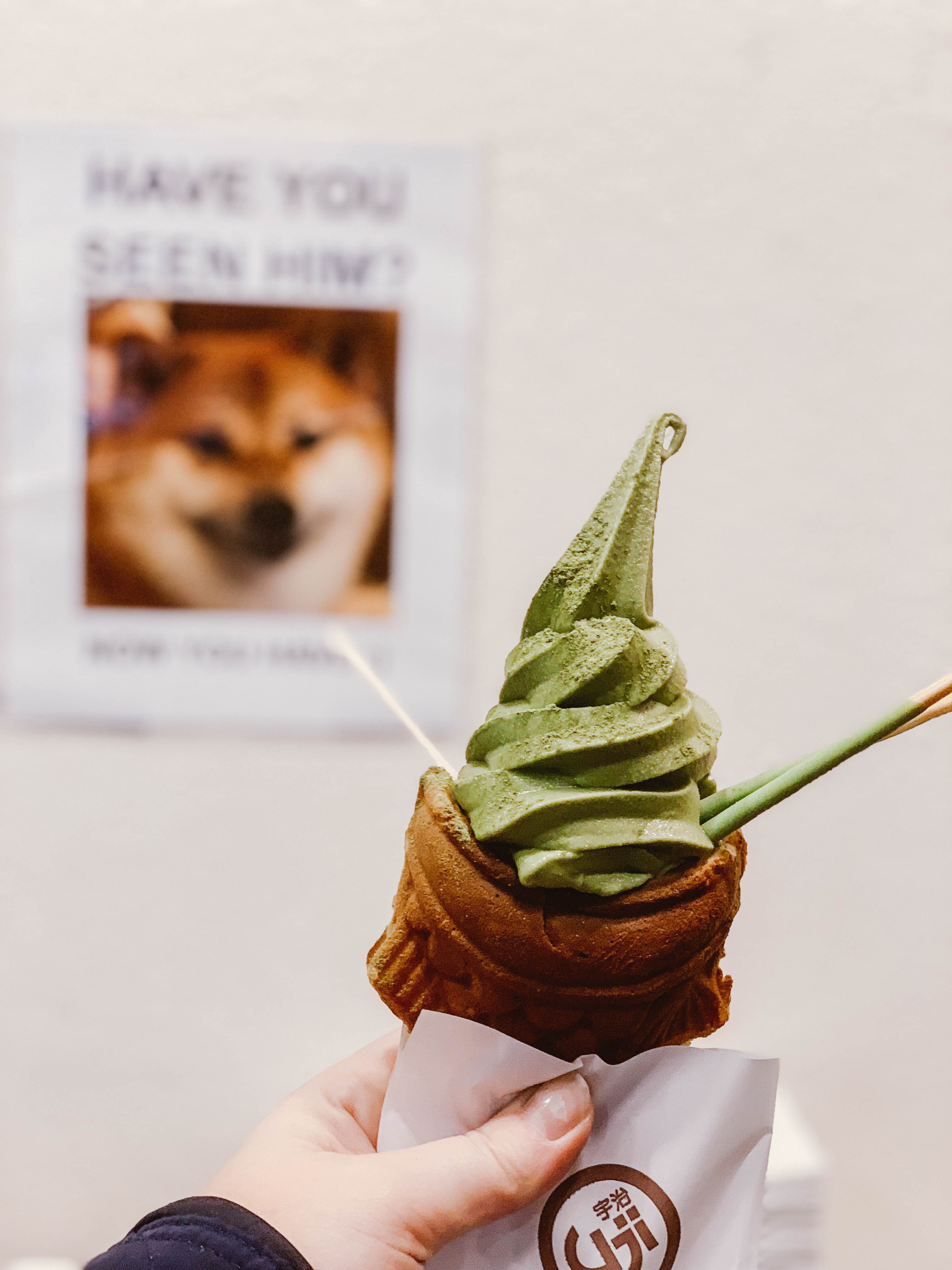 Matcha soft serve Uji Time